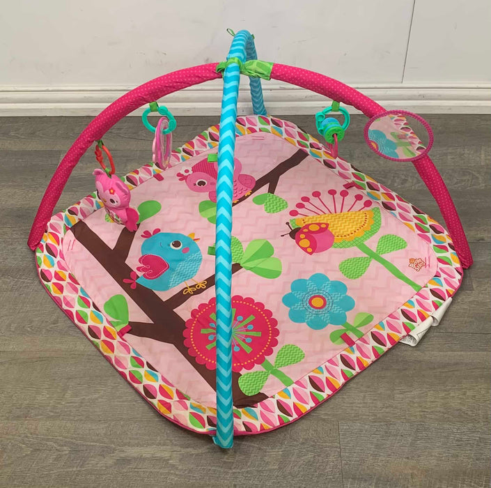 secondhand Bright Starts Activity Gym, Bloomin' Birdies