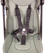 Shop Bugaboo Butterfly Stroller, 2023, Forest Green at Goodbuygears