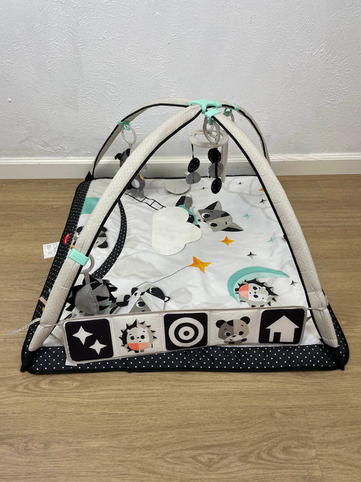 used Infant Gear