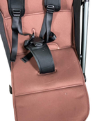 Shop Colugo Compact Stroller, 2022, Cocoa at Goodbuygears