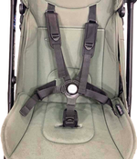 Shop Bugaboo Butterfly Stroller, 2022, Forest Green at Goodbuygears