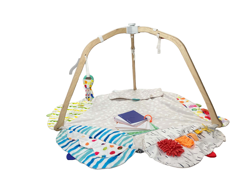 Shop Lovevery The Play Gym at Goodbuygears