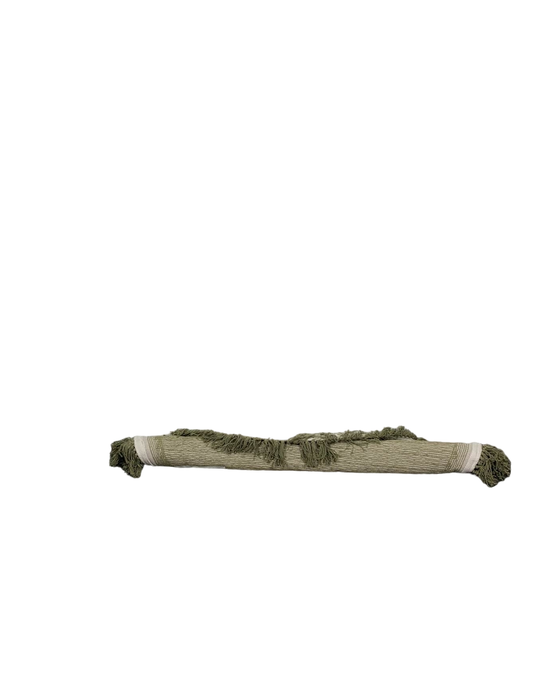 Shop Safavieh Easy Care Round Rug, Handmade Border Tassel, Green & Ivory at Goodbuygears