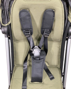 Shop Colugo Compact Stroller, 2023, Olive at Goodbuygears