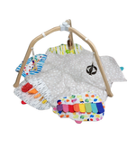 Shop Lovevery The Play Gym at Goodbuygears