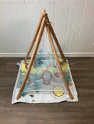 Shop Skip Hop Camping Cubs Activity Gym at Goodbuygears