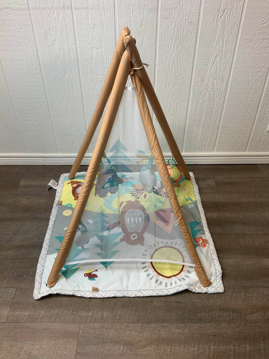 Shop Skip Hop Camping Cubs Activity Gym at Goodbuygears