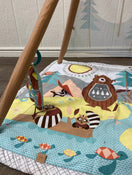 used Gyms Playmats
