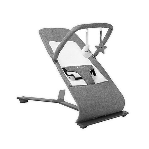 Shop Baby Delight Alpine Deluxe Portable Bouncer, Charcoal Tweed at Goodbuygears