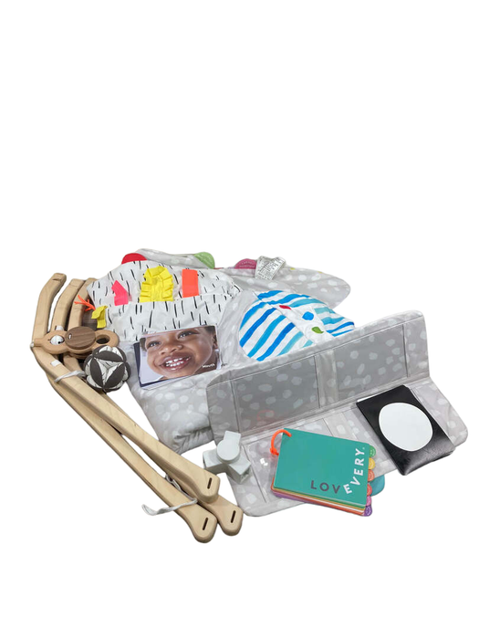 Shop Lovevery The Play Gym at Goodbuygears