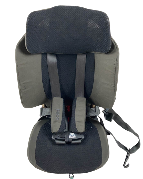 Shop WAYB Pico Portable Car Seat, 2020, Earth at Goodbuygears