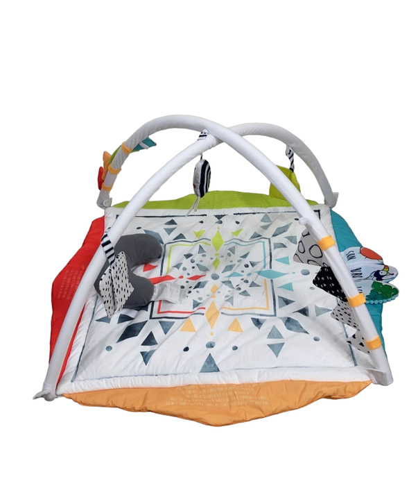 Shop Sassy Hello Baby Milestone Play Gym at Goodbuygears