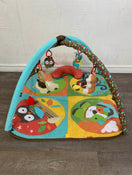 used Skip Hop Activity Gym/ Playmat