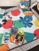 used Baby Einstein 4-in-1 Kickin’ Tunes Music Activity Gym