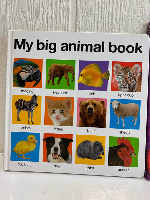 secondhand BUNDLE Hardback Picture Books