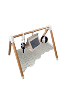 Shop Lalo The Play Gym, Sage at Goodbuygears