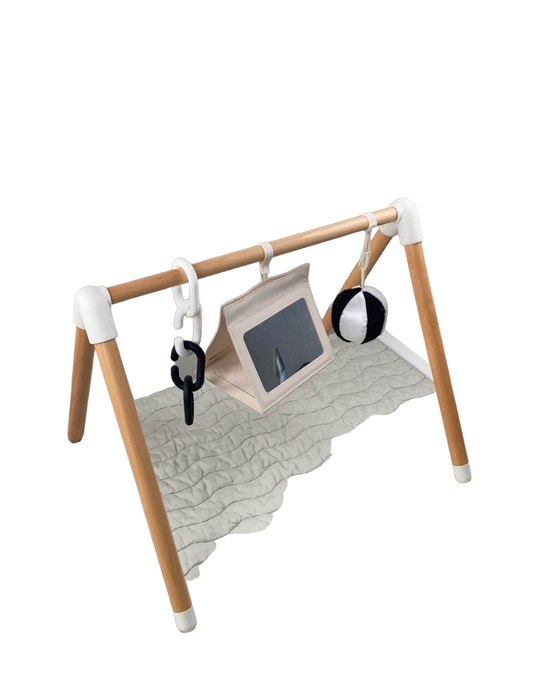 Shop Lalo The Play Gym, Sage at Goodbuygears