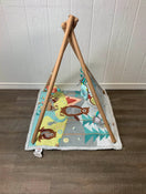 Shop Skip Hop Camping Cubs Activity Gym at Goodbuygears