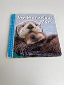 secondhand BUNDLE Board Books
