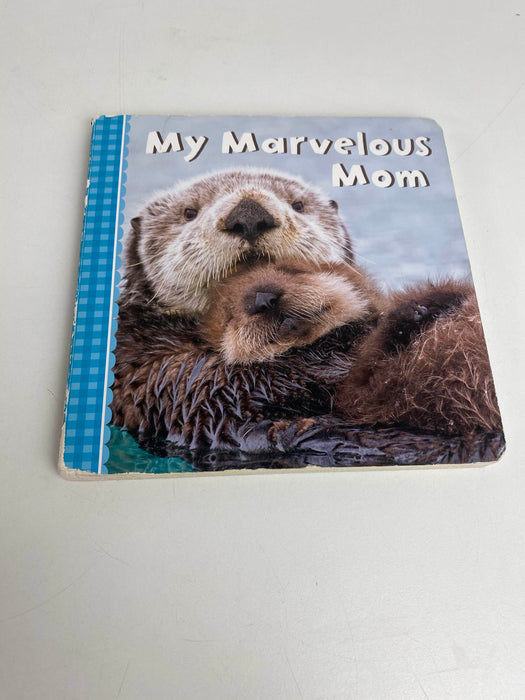 secondhand BUNDLE Board Books
