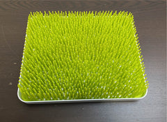 used Feeding