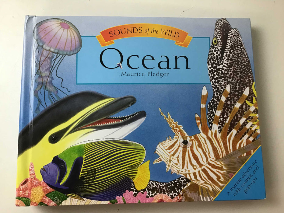 used BUNDLE Books