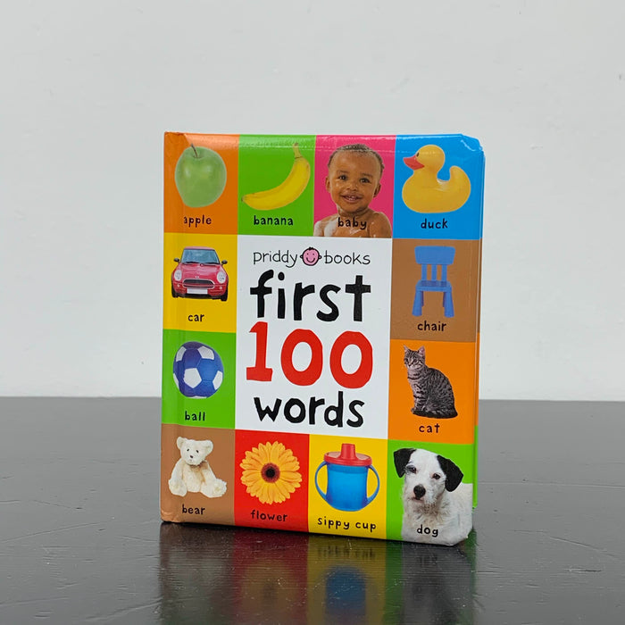 used Roger Priddy First 100 Words Book