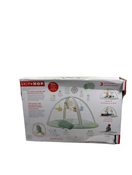 Shop Skip Hop Activity Gym Play Mat, Garden Oasis at Goodbuygears