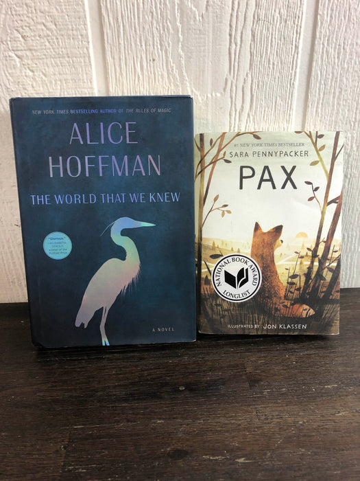 used BUNDLE Children’s Chapter Books