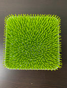 secondhand Boon Grass Countertop Drying Rack