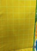 used Gyms Playmats