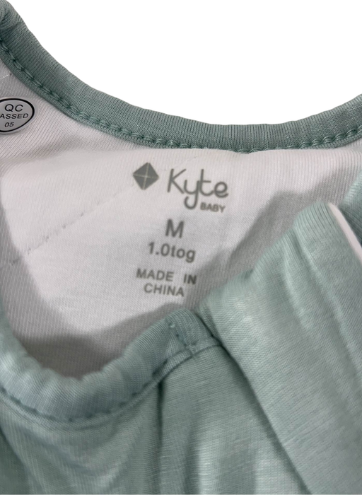 Shop Kyte Baby Sleep Bag TOG 1.0, Medium(18-30 pounds), Sage at Goodbuygears