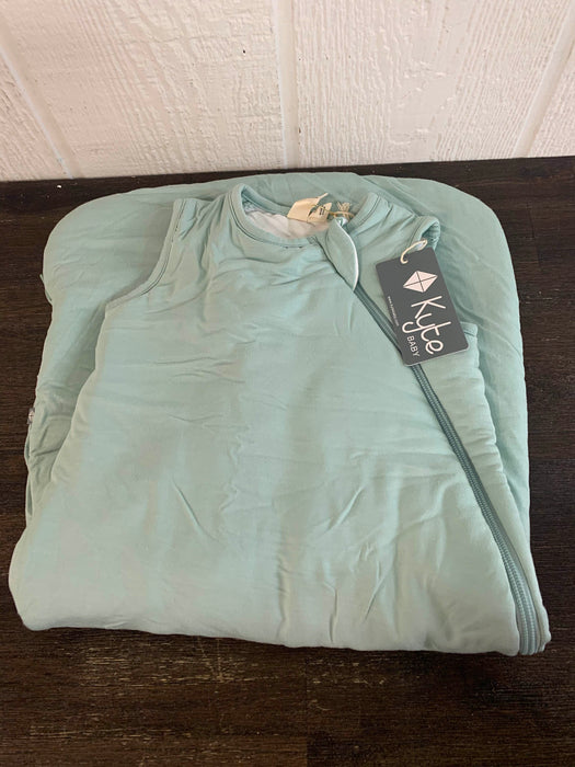 Shop Kyte Baby Sleep Bag, Small( 14-20 pounds), Sage at Goodbuygears