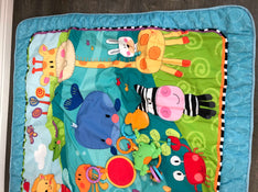 secondhand Fisher Price Discover ‘n Grow Play Mat