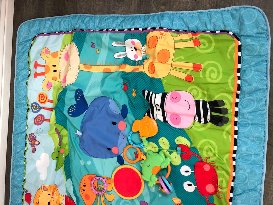 secondhand Fisher Price Discover ‘n Grow Play Mat