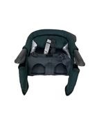 Shop Inglesina Fast Table Chair, Dark Green at Goodbuygears
