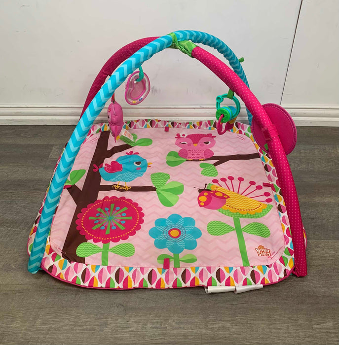 used Bright Starts Activity Gym, Bloomin' Birdies