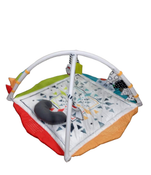 Shop Sassy Hello Baby Milestone Play Gym at Goodbuygears
