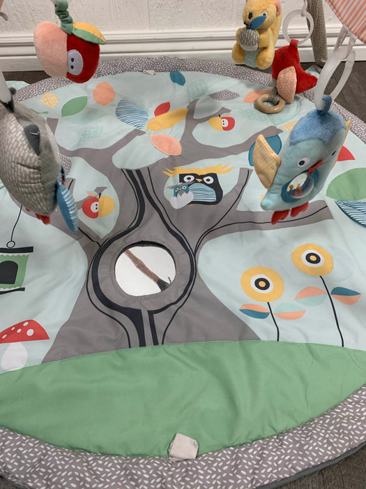 secondhand Skip Hop Activity Gym/ Playmat