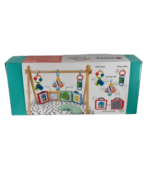 Shop Sassy Sensory Stages Developmental Play Gym at Goodbuygears