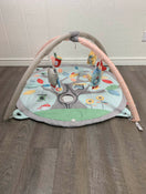 used Skip Hop Activity Gym/ Playmat