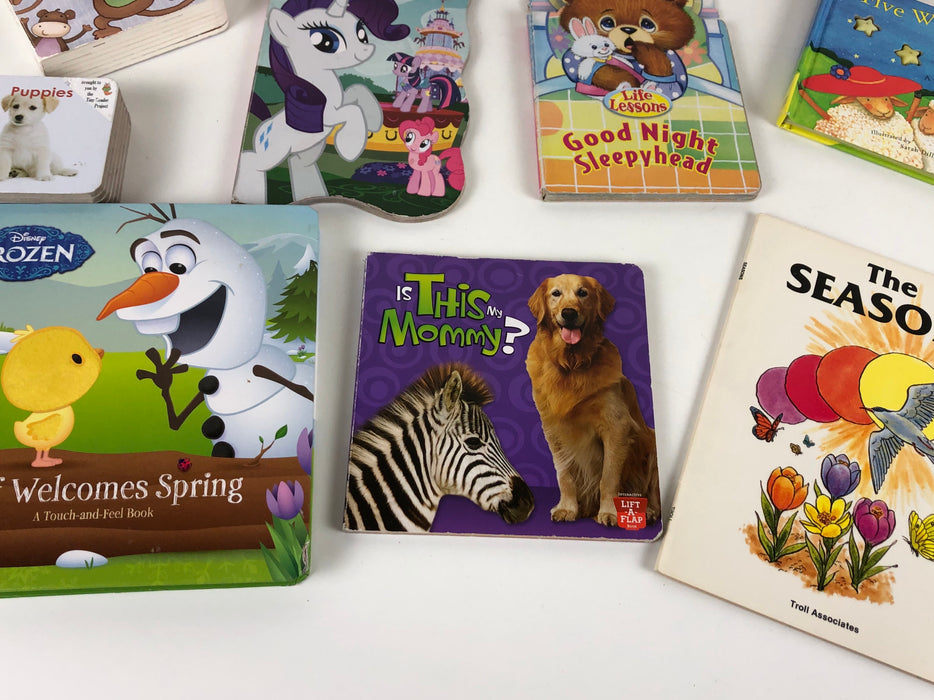 BUNDLE Books