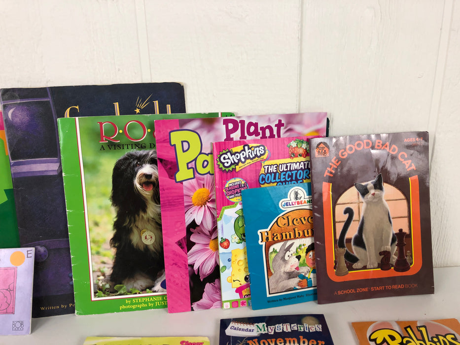 BUNDLE Books